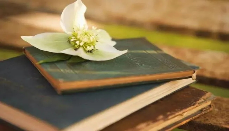 1633913138156207.jpg 读书4.webp.jpg