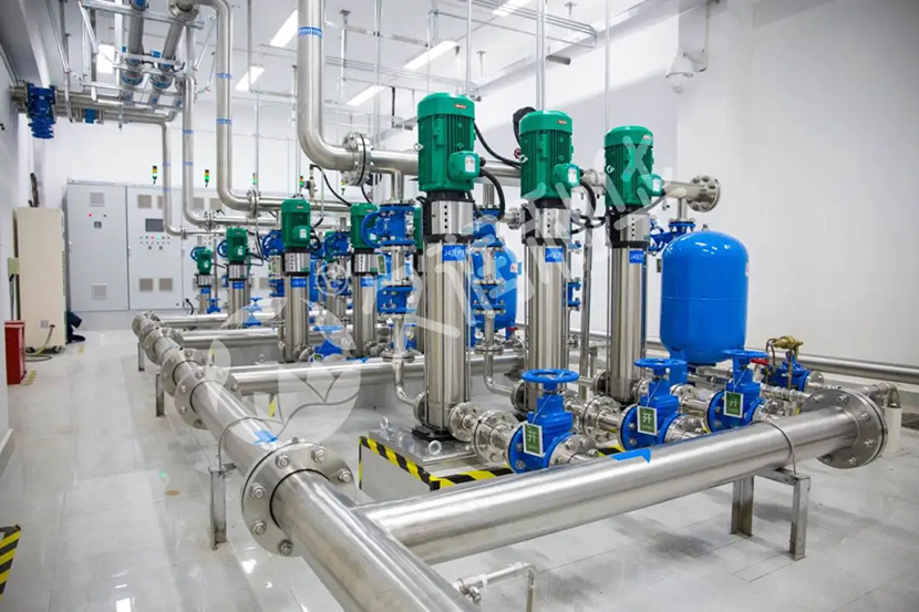 1717317372784698.jpg 5.jpg