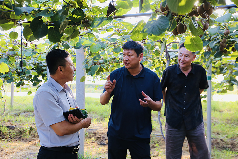 1725688689733938.jpg 改2.jpg